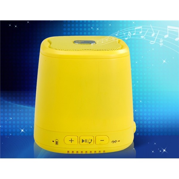 Portable Bluetooth Speaker with FM Radio, Hands-fr...