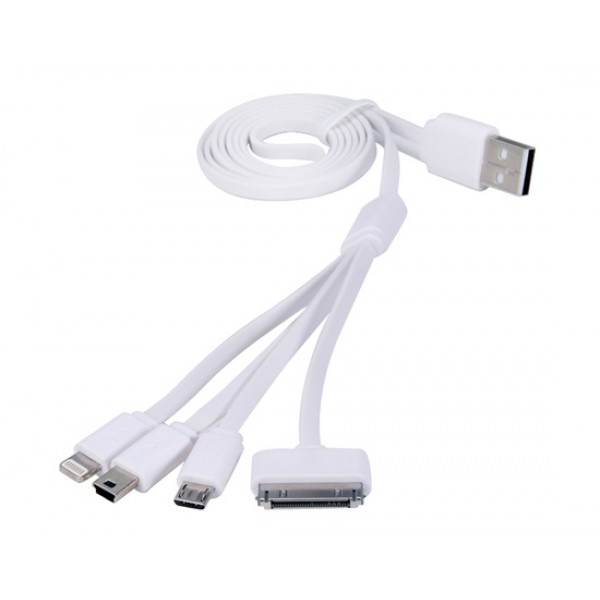 1-to-4 1M Colorful Flat USB Data Cable with Micro USB, Mini USB, 8-pin & 30-pin Interface (White)